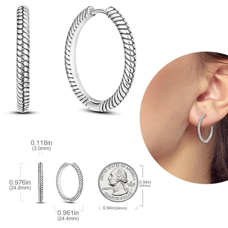 2023 Women Hoop Earrings 925 Silver Sparkling Pave Shape